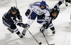 28圈中国-欧预赛激战正酣，多元战局展现实力光谱，球队竞技水平参差引关注