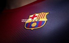 28圈中国-西悉尼流浪者豪取胜利，备战下一场比赛，西悉尼流浪者ds