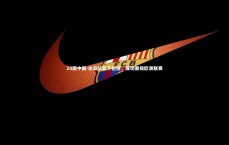 28圈中国-冰岛队篮下抢进，成功晋级欧洲联赛