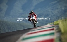 28圈中国-呼声高涨！瑞士新锋连射破门助球队取胜，瑞士队球风