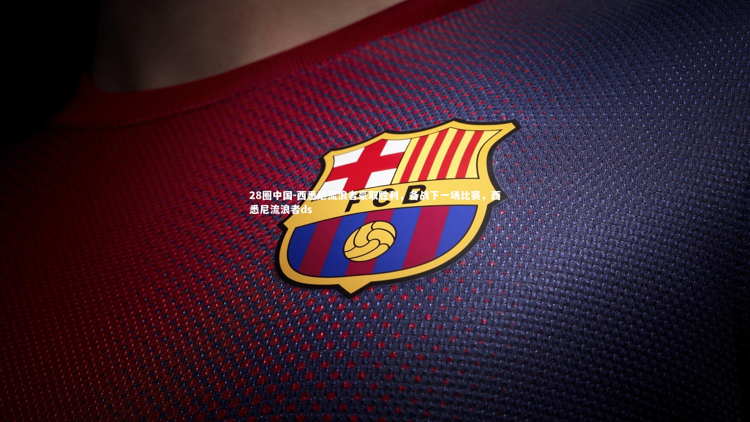 西悉尼流浪者豪取胜利,备战下一场比赛,西悉尼流浪者ds